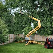 Best Lawn Irrigation Installation and Maintenance  in Odell, OR