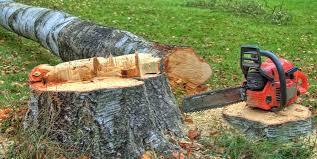 Best Tree Health Inspection  in Odell, OR