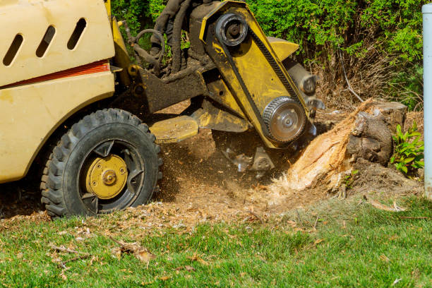 Best Aeration Services  in Odell, OR