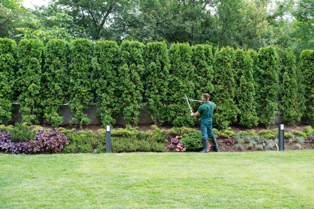 Best Tree Preservation Services  in Odell, OR