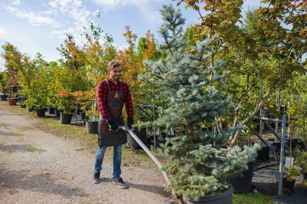 Best Commercial Tree Services  in Odell, OR